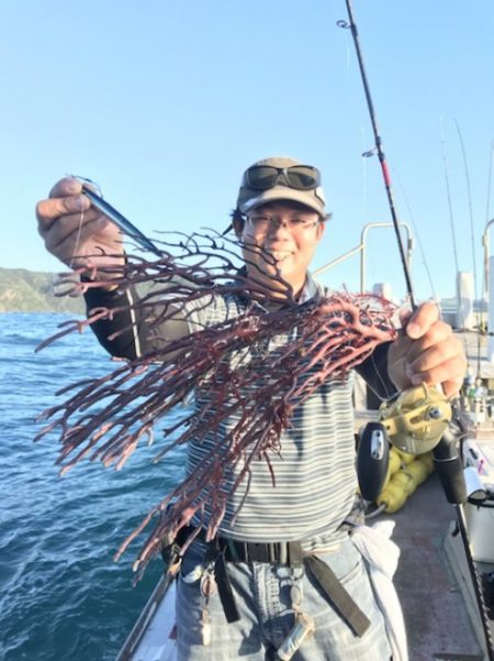 たいし丸 釣果