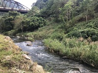 秩父フライフィールド 釣果