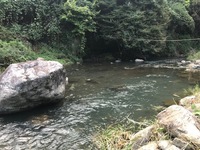 秩父フライフィールド 釣果