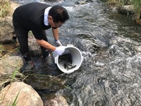 秩父フライフィールド 釣果