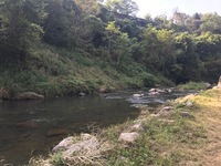 秩父フライフィールド 釣果