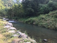 秩父フライフィールド 釣果