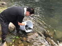 秩父フライフィールド 釣果