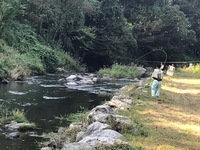 秩父フライフィールド 釣果