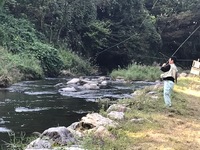 秩父フライフィールド 釣果