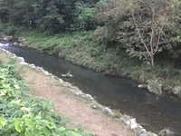 秩父フライフィールド 釣果