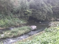 秩父フライフィールド 釣果