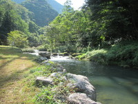 秩父フライフィールド 釣果