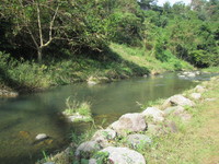 秩父フライフィールド 釣果