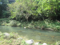 秩父フライフィールド 釣果