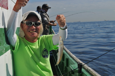 根岸丸 釣果