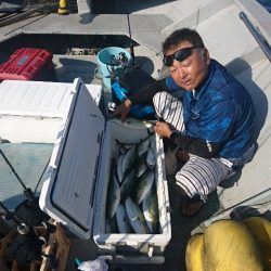 第二明康丸 釣果