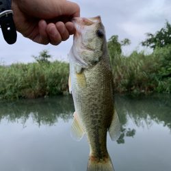 トライザは素敵なコンセプトのロッド【メガバス（Megabass）トライザ