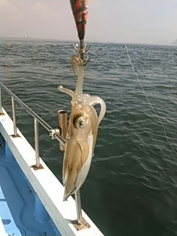 フィッシングガイド りょう 釣果