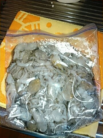 フィッシングガイド りょう 釣果