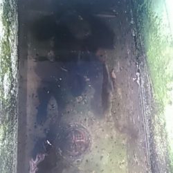 フィッシングガイド りょう 釣果