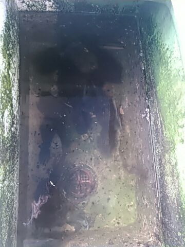 フィッシングガイド りょう 釣果