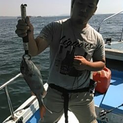 フィッシングガイド りょう 釣果