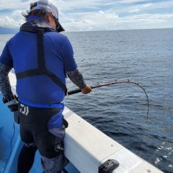 海晴丸 釣果