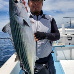 海晴丸 釣果