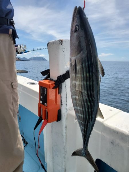海晴丸 釣果