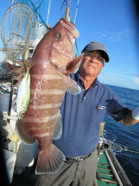 真祐丸 （しんゆうまる） 釣果