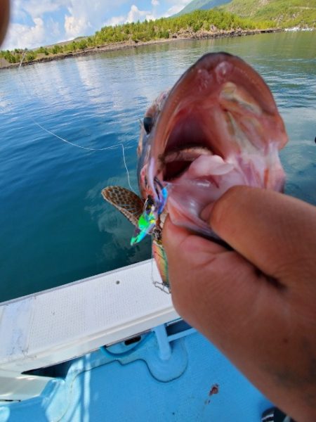 海晴丸 釣果