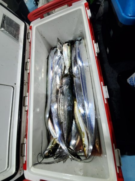海晴丸 釣果