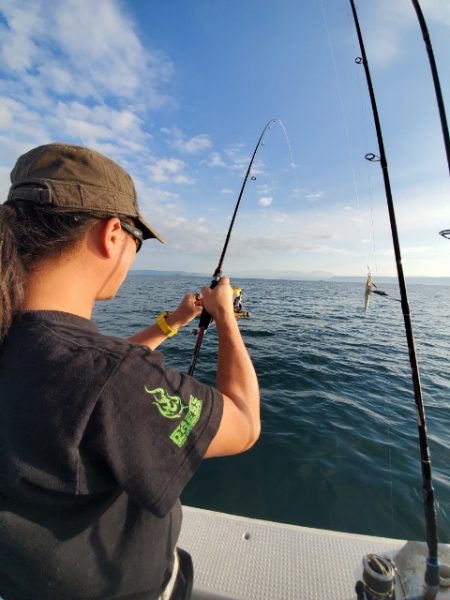 海晴丸 釣果