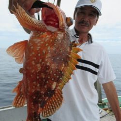 真祐丸 (しんゆうまる) 釣果