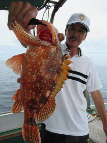 真祐丸 (しんゆうまる) 釣果