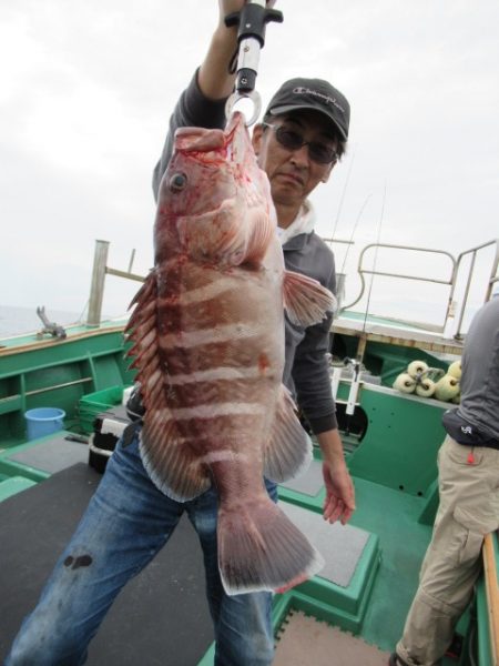 真祐丸 (しんゆうまる) 釣果