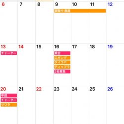 「LaGooN」蒼陽丸 日和号 釣果