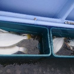 小樽港遊漁船SHAKE 釣果