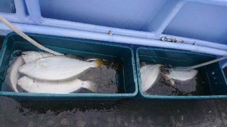 小樽港遊漁船SHAKE 釣果