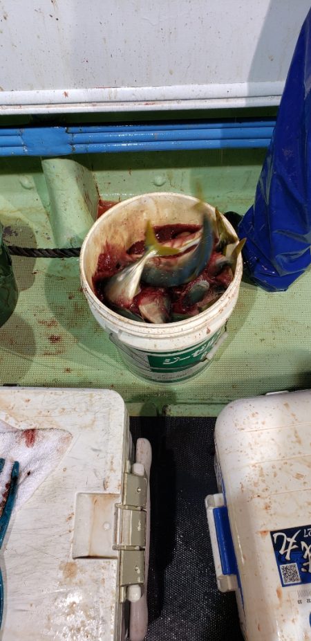 海龍丸（石川） 釣果