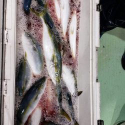 海龍丸（石川） 釣果