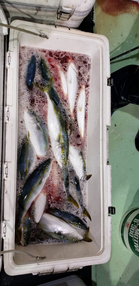 海龍丸（石川） 釣果