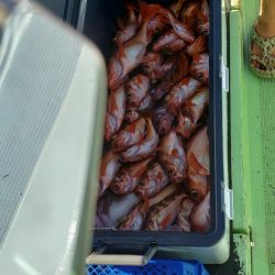 海龍丸（石川） 釣果