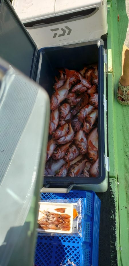 海龍丸（石川） 釣果