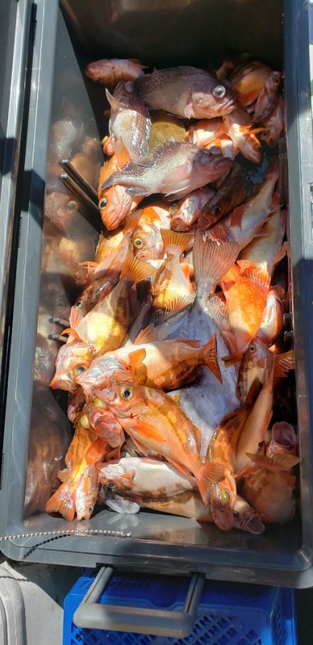 海龍丸（石川） 釣果