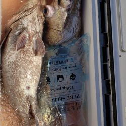 海龍丸（石川） 釣果