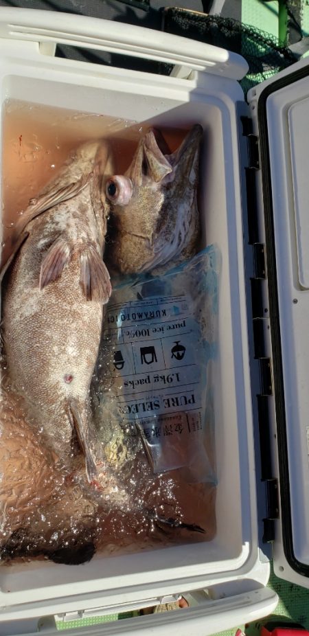 海龍丸（石川） 釣果