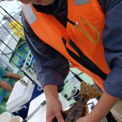 海龍丸(石川) 釣果