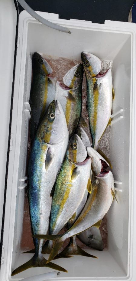 海龍丸(石川) 釣果