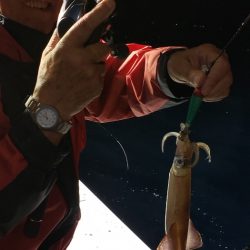 海龍丸（石川） 釣果