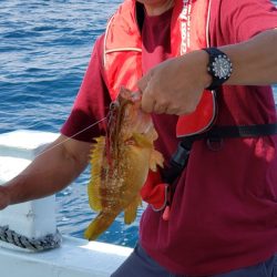 海龍丸（石川） 釣果