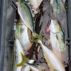 海龍丸(石川) 釣果