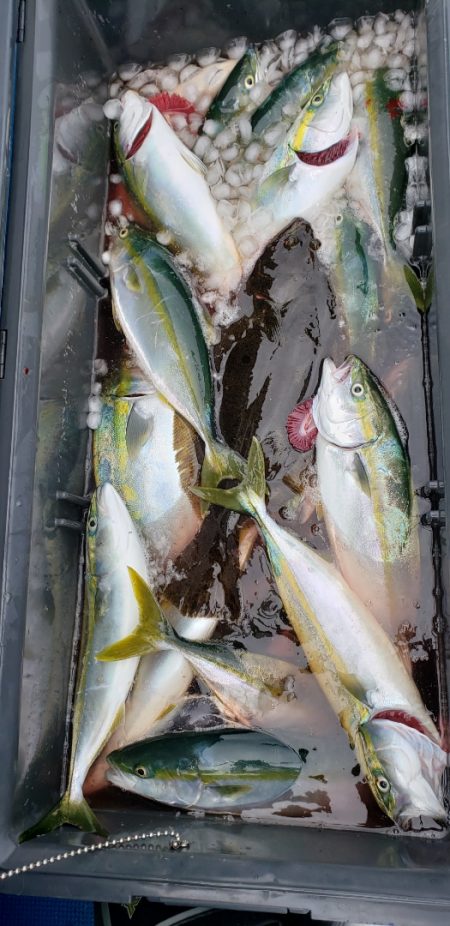 海龍丸(石川) 釣果