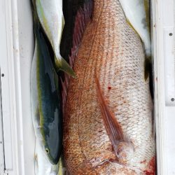 海龍丸(石川) 釣果